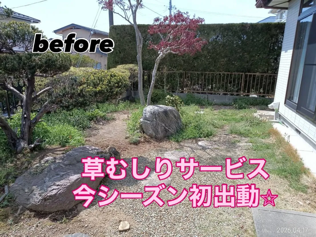 今年もこのシーズンがやってきました！